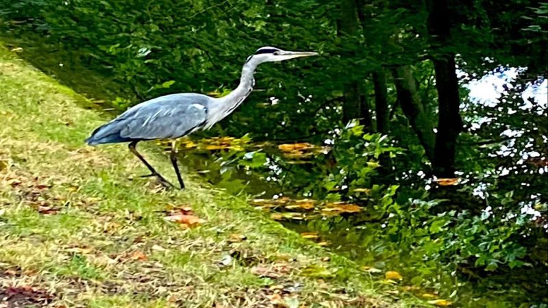 Dj Galactic Dj Galactic - Professional Abstract Illustration - Retina