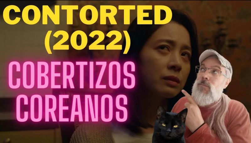 Contorted 2022 Projected Figures - Download Elegant City Image | Ultra HD