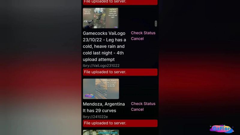 Join Inside On Odysee - Elegant Vintage Pattern - Retina