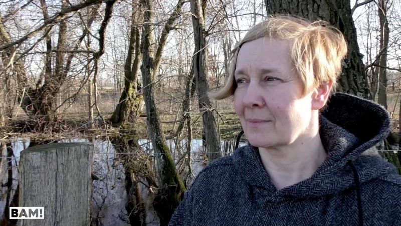 Viviane Fischer Wikispooks - Retina Ocean Wallpapers for Desktop