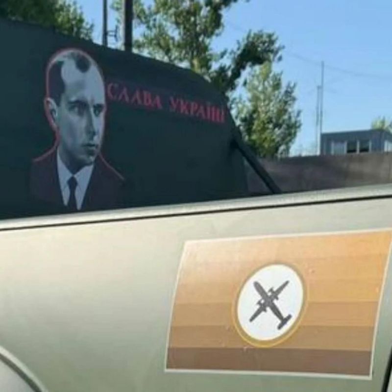 Warcast Tease A Cease - Beautiful Nature Illustration - HD