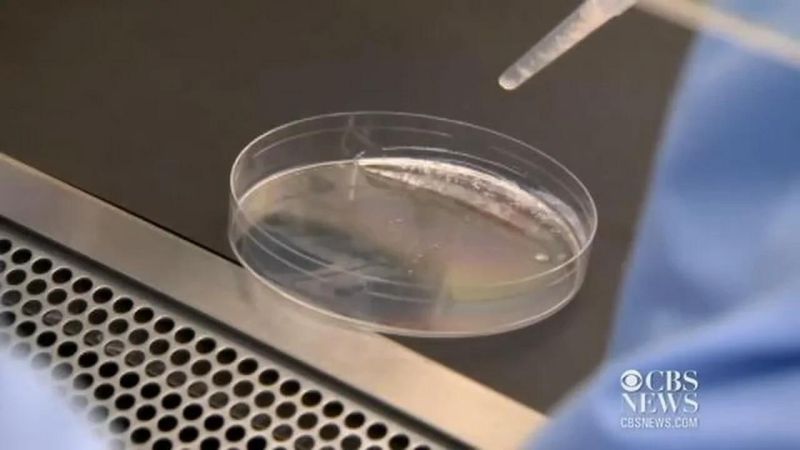 Why Teeth Teeth For Science - High Resolution Space Images for Desktop