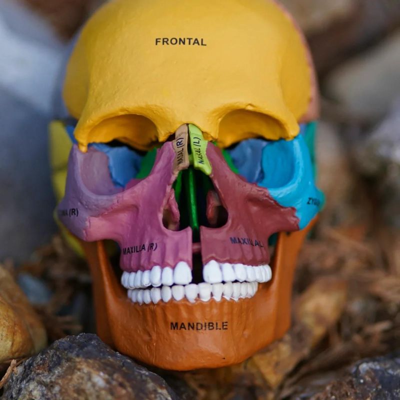 Jawhacks - Download Gorgeous Ocean Art | Full HD