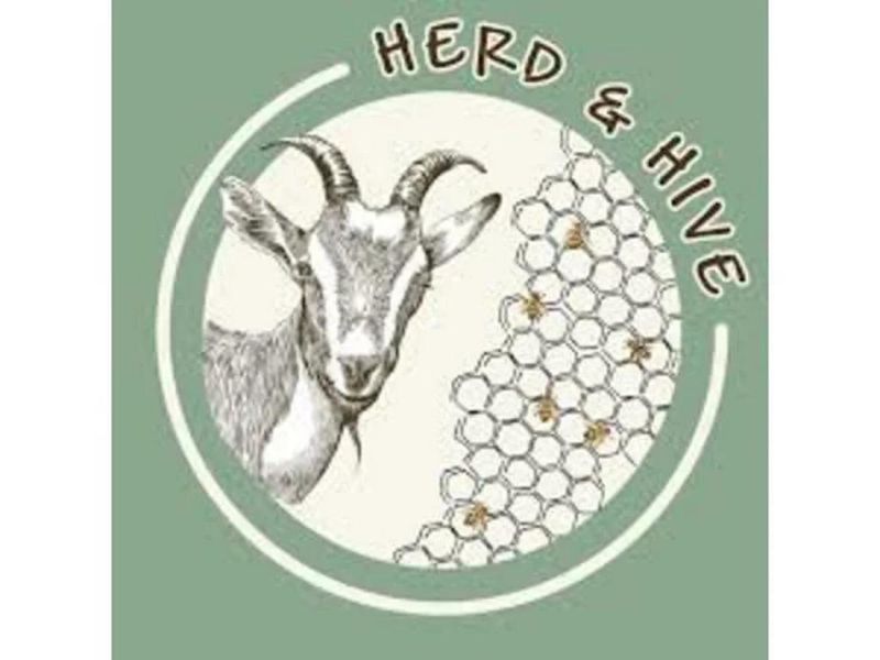 Hive Mentality By Turnovus - Perfect Colorful Picture - 8K