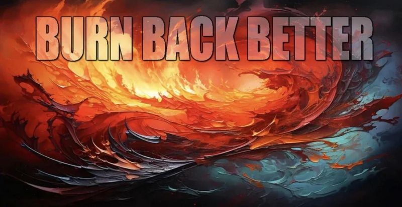 Burn Back Better Davidvance Net - 4K Vintage Arts for Desktop