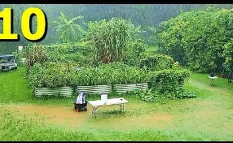 Can Planters Harsh Forms - Modern Full HD City Wallpapers | Free Download