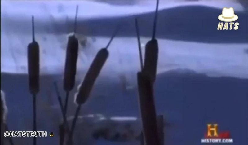 High Frequency Active Auroral Research Program Als - Creative Colorful Photo - 4K