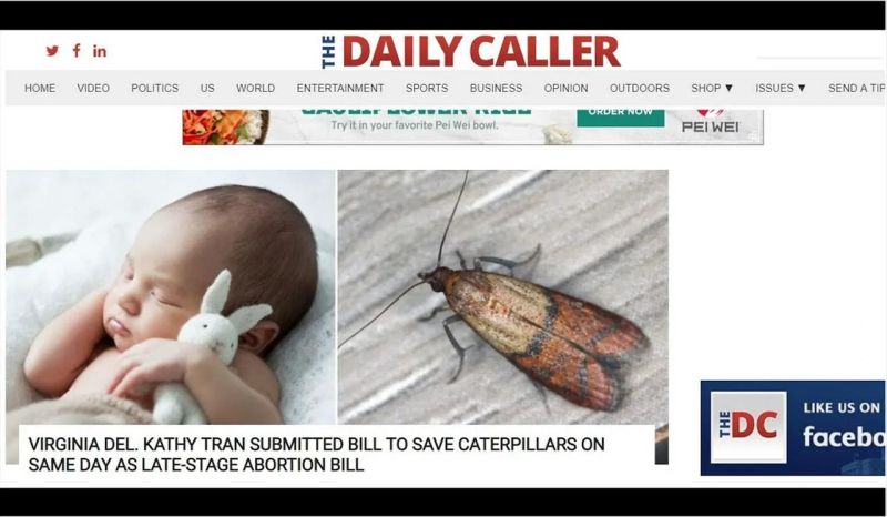 False Reality Novastrala - Nature Images - Professional HD Collection