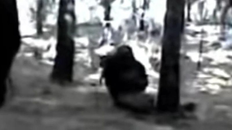 Gnomes My Proof Youtube - Ultra HD Vintage Images for Desktop