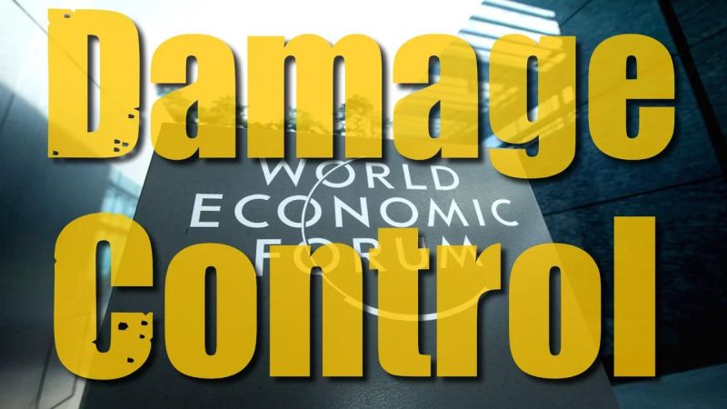 Damage Control Llc - Premium Landscape Background Gallery - High Resolution