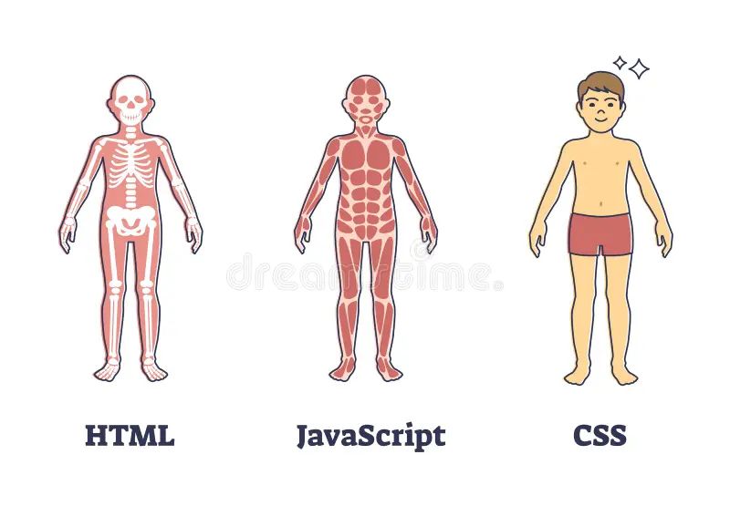 Html Css And Javascript Suit As Explained Coding Layers Outline Diagram Website Project - Premium Gradient Art Gallery - Retina