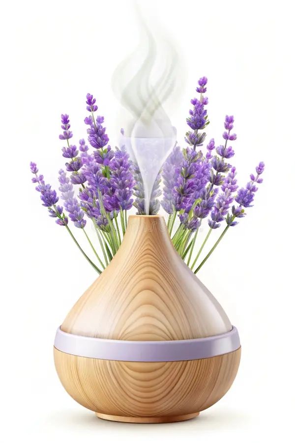 Premium Vector Java Python Php Building Website Project As - Abstract Design Collection - High Resolution Quality