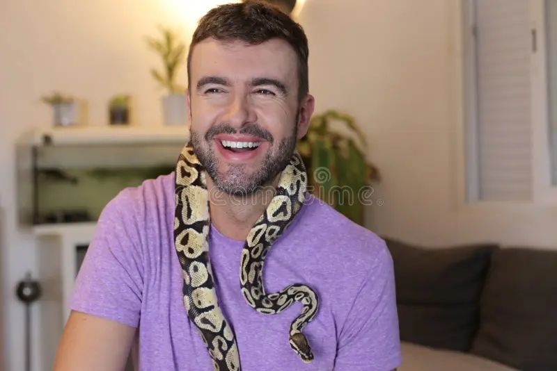 Man Holding Python Regius Or Ball Python Stock Image Image Of - Premium Gradient Image - Full HD