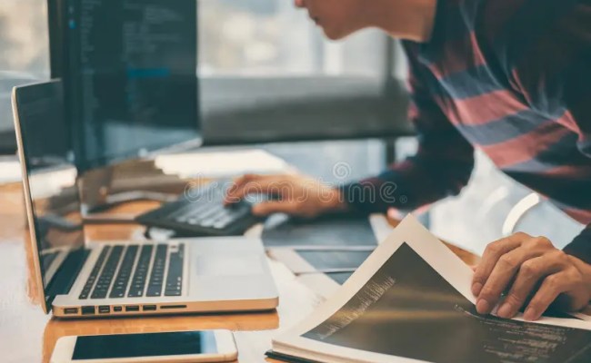 Professional Development Programmer Working In Programming Website A ...