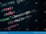 Javascript Programming Language