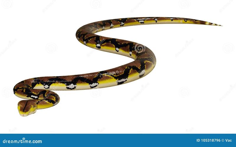 Reticulated Python By Frylock921 On Deviantart - Stunning HD Space Wallpapers | Free Download