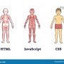 HTML, CSS And JavaScript Suit As Coding Layers Explanation Outline ...