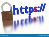 Https Secure Connection Stock Illustration Illustration Of Internet