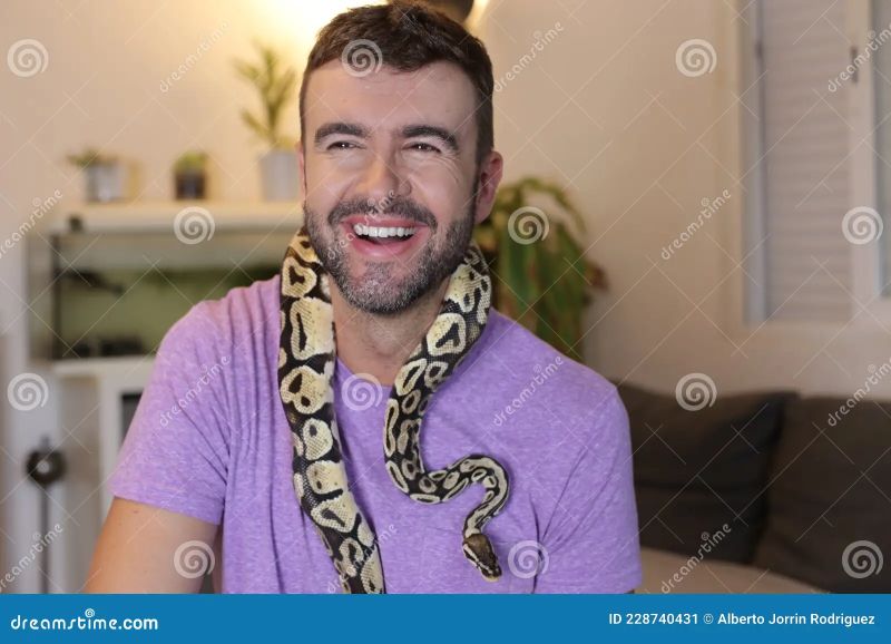 Man Holding Python Regius Or Ball Python Stock Image Image Of - Mountain Design Collection - Ultra HD Quality