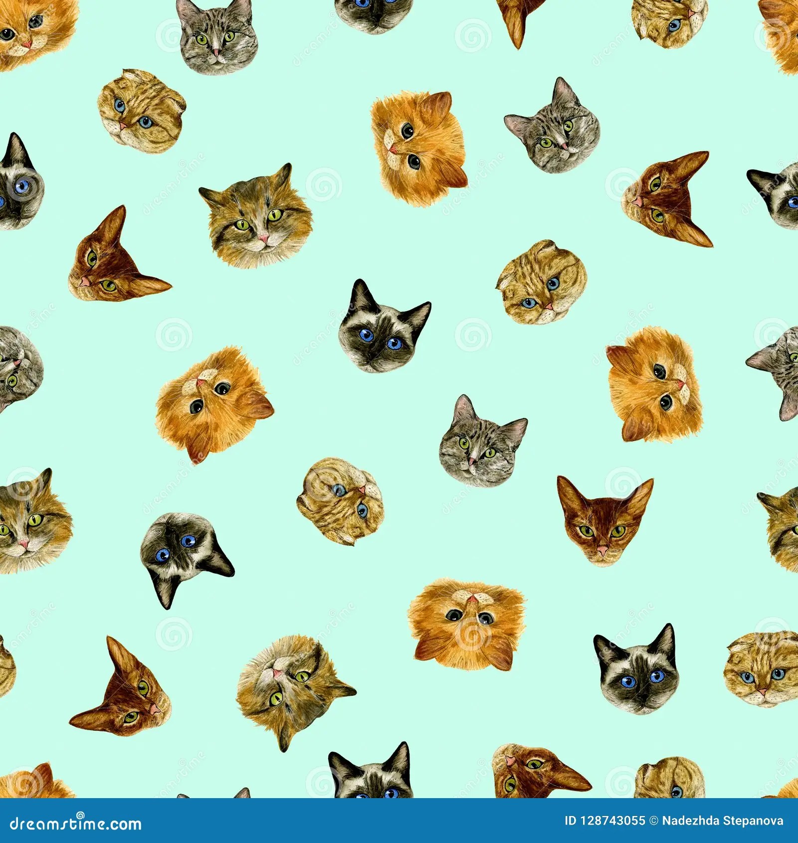photo Fundo De Tela Gato dreamstime