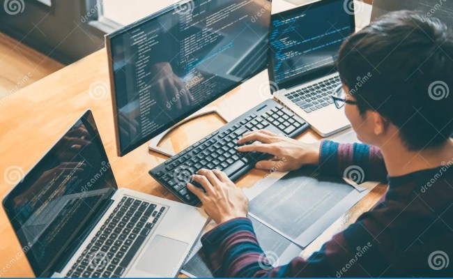 Professional Development Programmer Working In Programming Website A ...