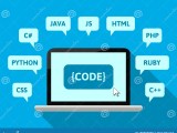 Programming And Coding Concept In Flat Design Stock Vector