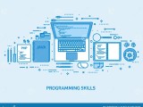 Programming Coding And Seo Web Development Search Engine