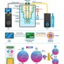 Quantum Computing