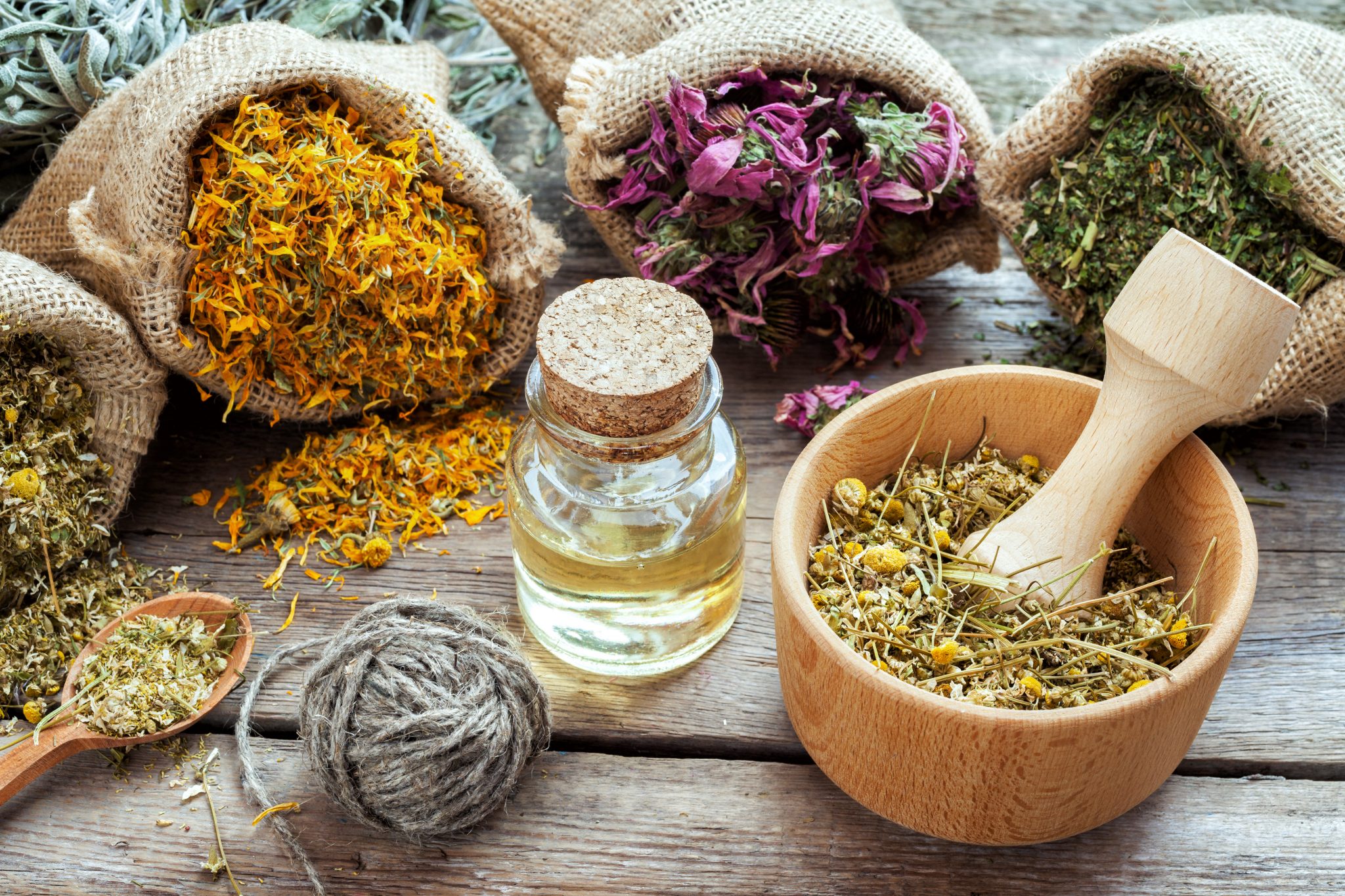 What Is Tripterygium Wilfordii?