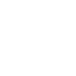 Consultation