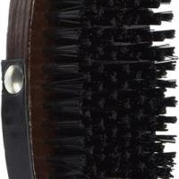 Aloe Care Glossing Brush Small