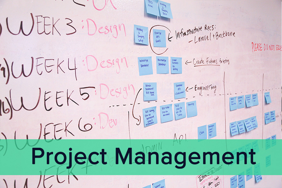 Project Management
