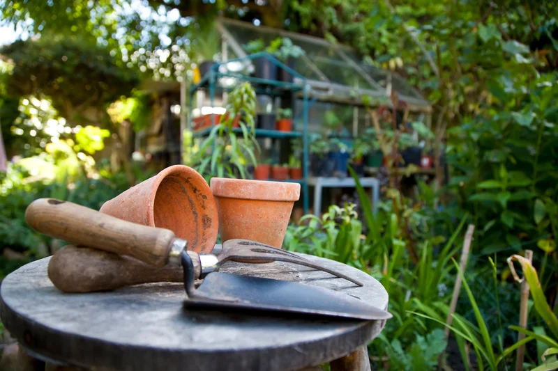 garden tools outdoors.webp