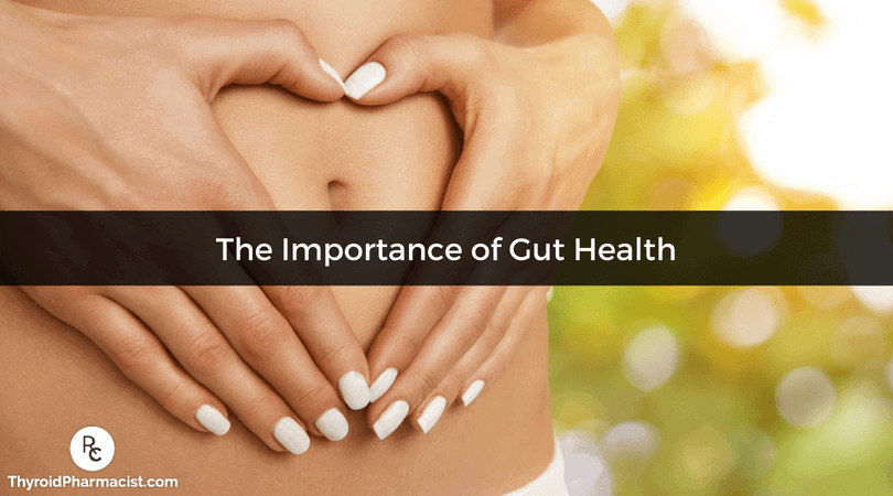 Importance Of Gut Health In Hashimoto S Dr Izabella Wentz