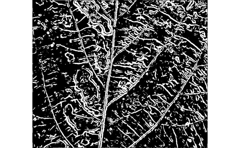 Home Object Edge - City Pictures - Incredible Full HD Collection