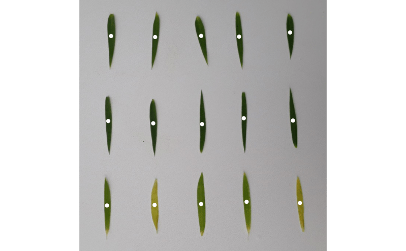 Object Edges Object Edge Pliman - Full HD Geometric Wallpapers for Desktop