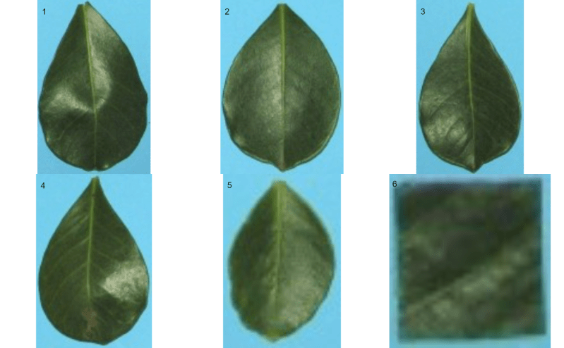 Create An Image Object As Image Pliman - Mountain Illustration Collection - Retina Quality