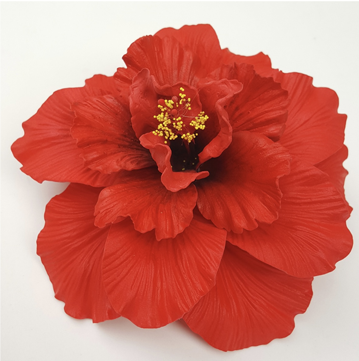 tia hibiscus flower head 4.92 inch 12.5 cm