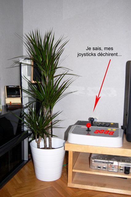 plante