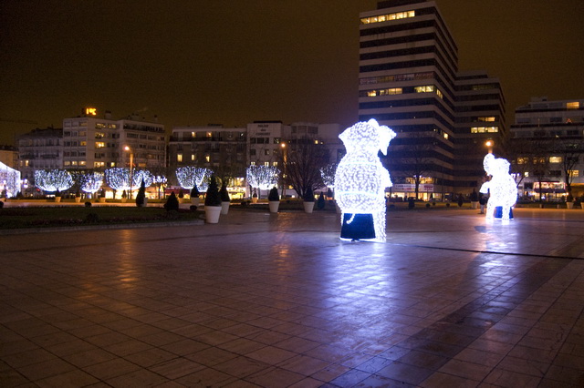 dsc_5342.jpg
