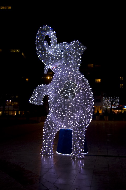 dsc_5357.jpg