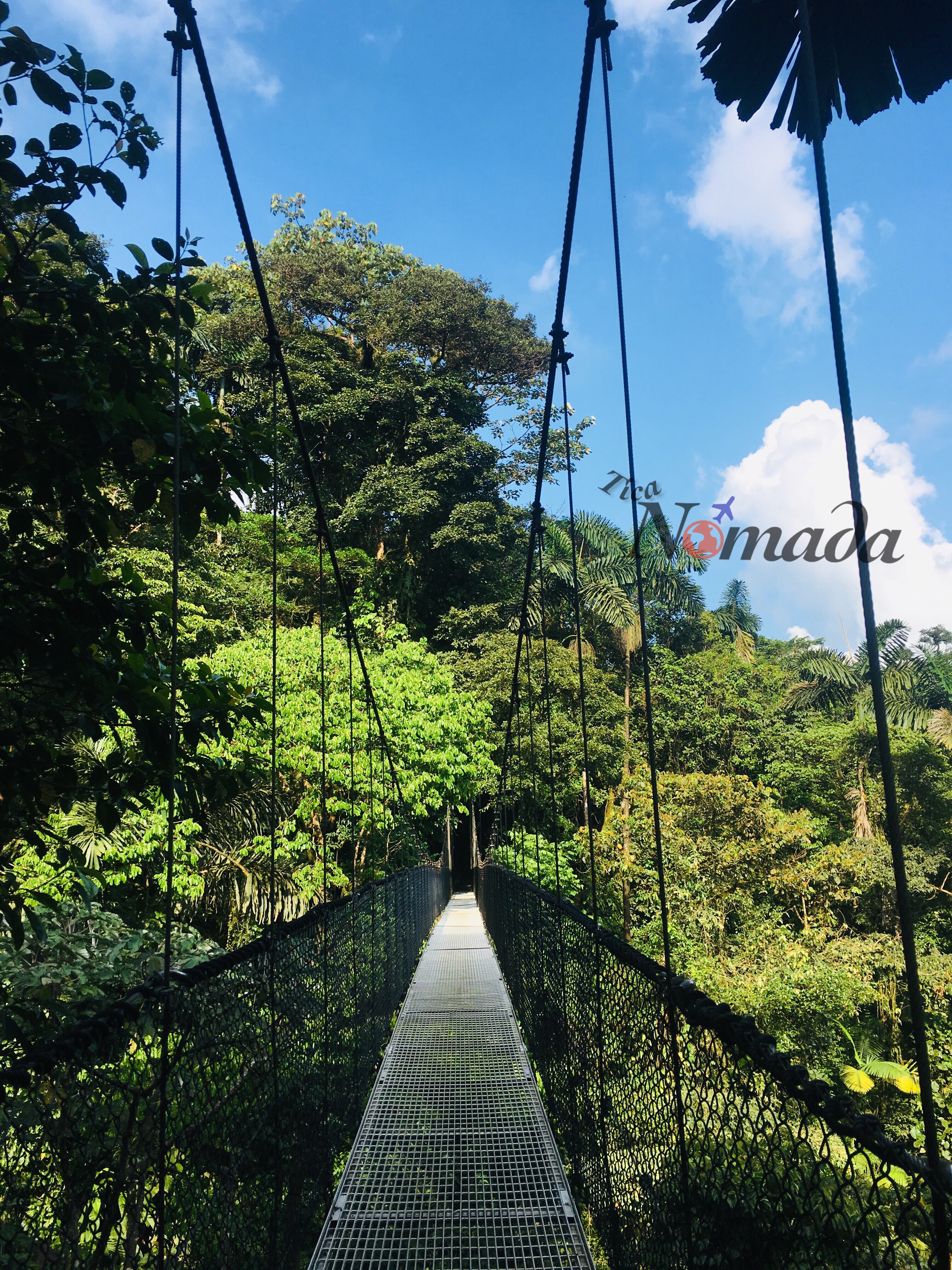 vista de puente colgante