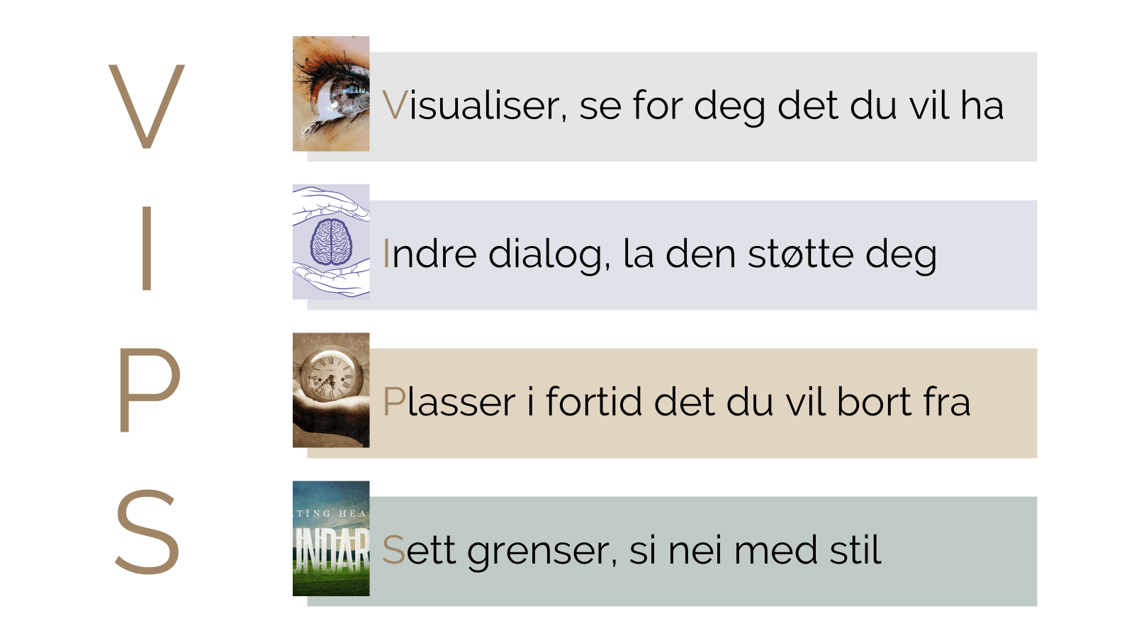 Innsikt 57 2024 | VIPS for mental styrke