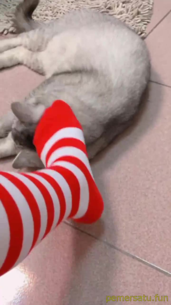 P4 Costplay Sailormoon Binal