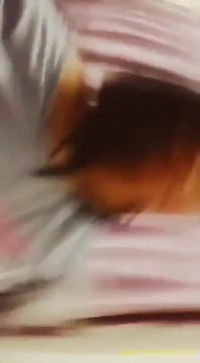 bokep.indobokepin.com-fullpack nurateni (3) - n9tt6ek6h057