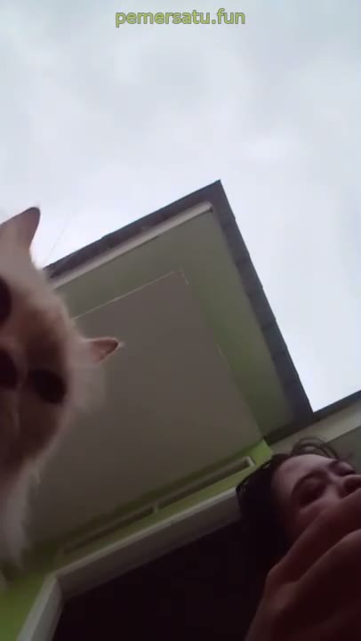  Terbaru Bokep Riska Hijaber Abg 18Yo Pap Tetek Outdoor Bareng Kucing Kolpri Update