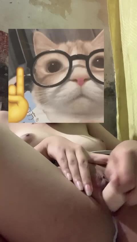 ass.gdav.top-TALENT FAVYVIO (01) - 26o5qyw8lgrq