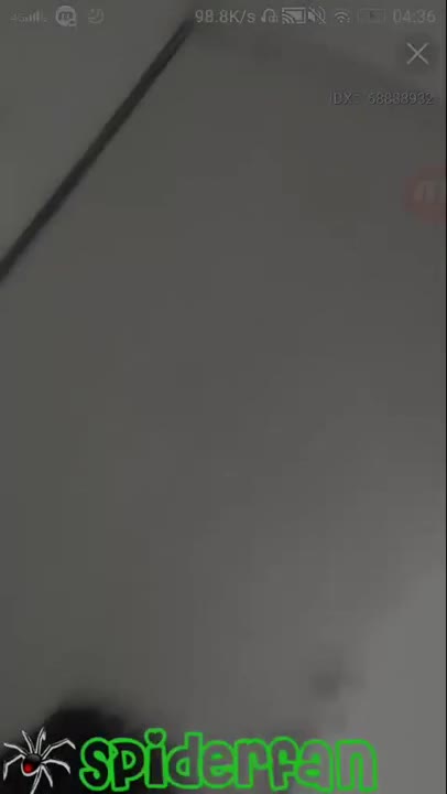 bokepindo.com.co-oljn7lsnne3qk48m Video - no3z46qkm6sh