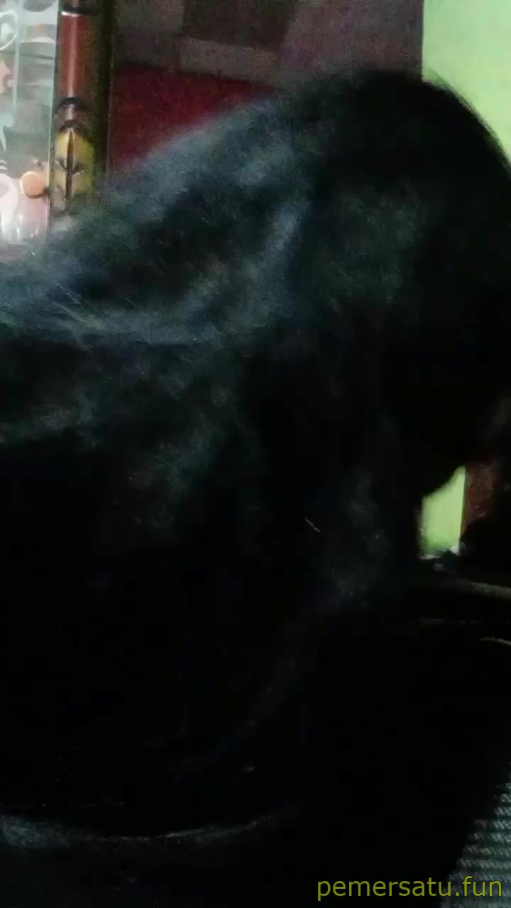  Bokep Porno disepong pacar abg 18yo ruang tamu