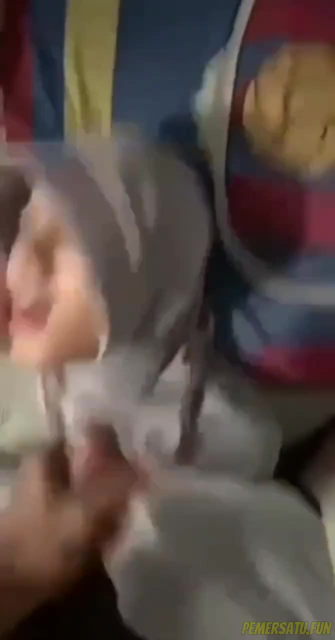 doooood.co-jilbab abu cantik viral banyak videonya (10) - x5o7liwux8fn